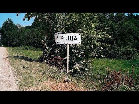 Видео: Экскурс по СП "Село роща" Тарусского района Калужской области