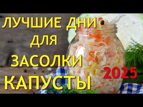 Видео: КОГДА СОЛИТЬ ВКУСНУЮ КАПУСТУ? Лучшие даты по лунному календарю для засолки капусты в 2025 году