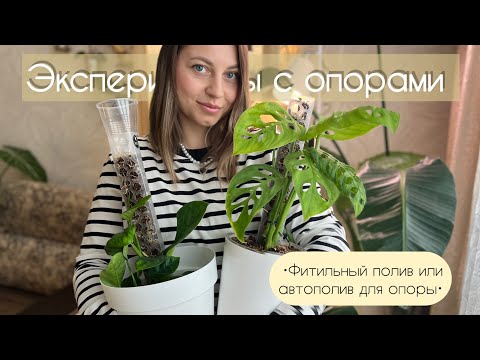 Видео: Эксперименты с ОПОРАМИ. Проверяю ФИТИЛЬНЫЙ ПОЛИВ И АВТОПОЛИВ для опор.