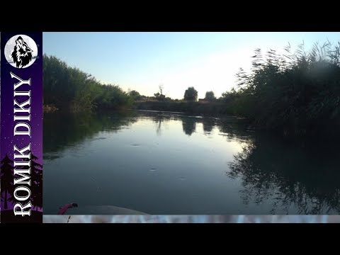 Видео: Летняя рыбалка. Малая Или. Видео из архива. (3-5 августа 2018г)
