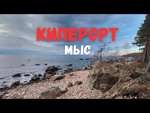 Видео: Заказник "Выборгский" экомаршрут "Мыс Киперорт"
