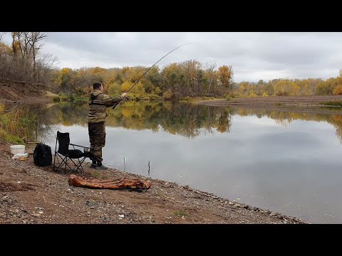 Видео: Эх, ребята! Душевная получилась рыбалка! Поплавок уделал фидер. Река Сакмара, Оренбург