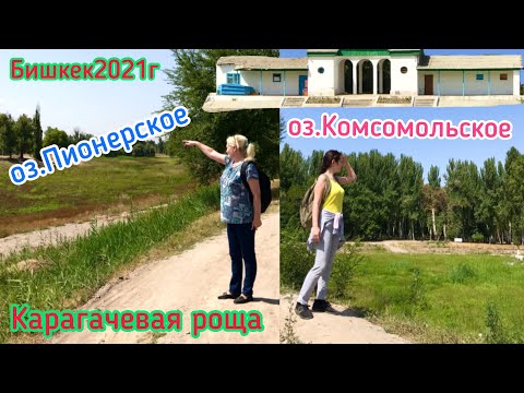 Видео: Прогулка по Карагачевой роще|Озера Пионерское и Комсомольское|1Часть