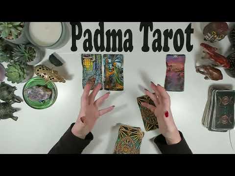 Видео: БЛИЗНЕЦЫ♊️ЭТО ПО ДРУГУЮ СТОРОНУ РАДУГИ! Еженедельное гадание на картах Таро с 3 по 9 НОЯБРЯ 💫🔮