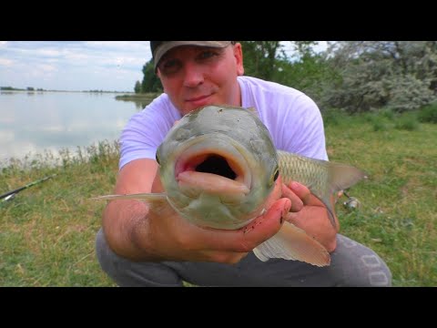 Видео: Я СЮДА ТОЧНО ВЕРНУСЬ! РЫБАЛКА в НОВЫХ МЕСТАХ.