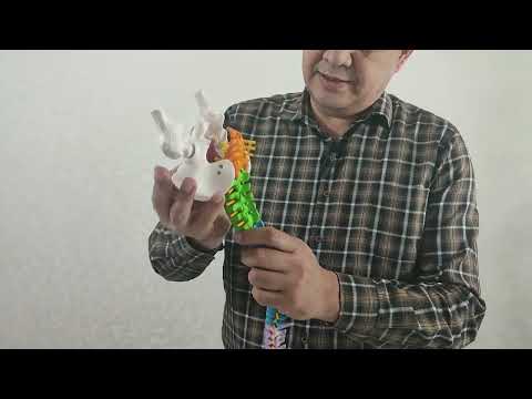 Видео: Умурткани уриб даволаш нега мумкин эмас  ,ножуя таъсирлари ва  асоратлари тугрисида