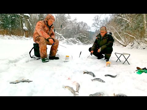 Видео: Хариус и ленок из подо льда! Открытие по твердой воде на горной реке состоялось в ноябре !
