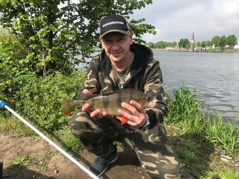 Видео: НА РАБАЛКУ В ГОЛЛАНДИЮ!! ЖАРА ПОД 40 ГРАДУСОВ