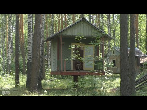 Видео: Золотарёвка (часть 2)