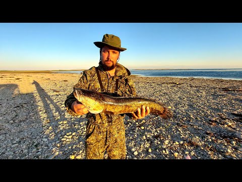 Видео: Выезд по змейголову на Капчагай, первая насосная.
