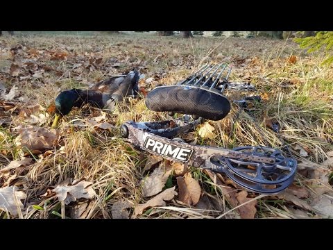 Видео: Охота с луком на селезня при помощи подсадной утки.