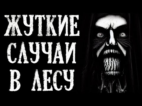 Видео: Жуткие Случаи В ЛЕСУ. Страшные Истории на Ночь (5в1)