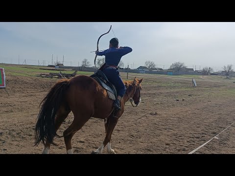 Видео: Воскресная тренировка в п Цаган -Нур по конной стрельбе из лука