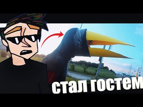 Видео: Я СТАЛ ГОСТЕМ И ВЫШЕЛ НА УЛИЦУ