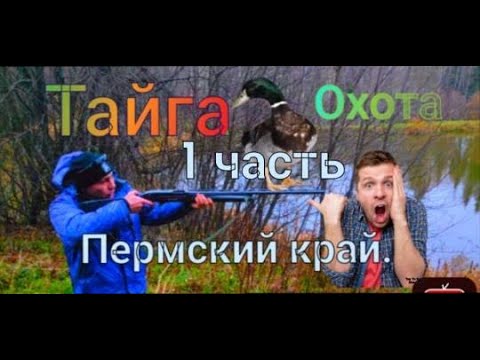 Видео: Приключения в тайге.  Пермский край.  ЧАСТЬ 1 #тайга #охота #природа