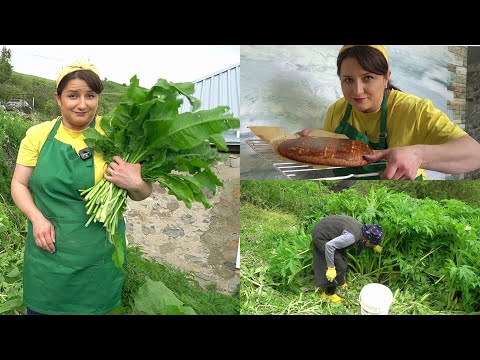 Видео: ԵՍ ու ՏԱՏԻԿՍ Հանդ Հավաքեցինք ու ԲԱՂԱՐՋՈՎ ՍՈԻՐՃ Վայելեցինք - Շամշադինի Համը - Шамшадин