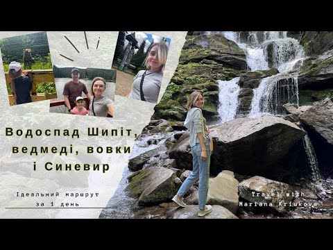 Видео: Закарпаття. Ідеальний маршрут за 1 день: Шипіт, ведмеді, вовки, Синевир та ностальгія в Колочаві!