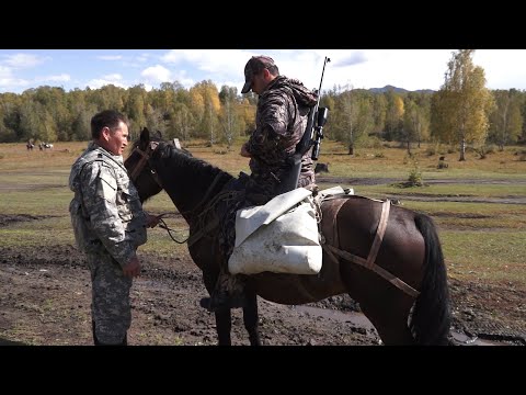 Видео: Охотничьи приключения - 2-5 (Алтай) / Vorsordakan Arkacner - 2-5 (Altai)
