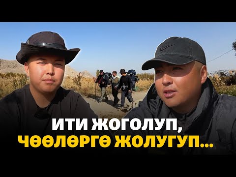 Видео: Ити жоголуп, чөөгө кабылып, Кыргызстанды кыдырган Арсен