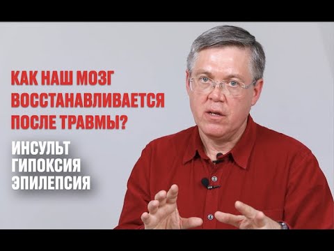 Видео: Травмы и повреждения мозга: гипоксия, инсульт и эпилепсия Вячеслав Дубынин