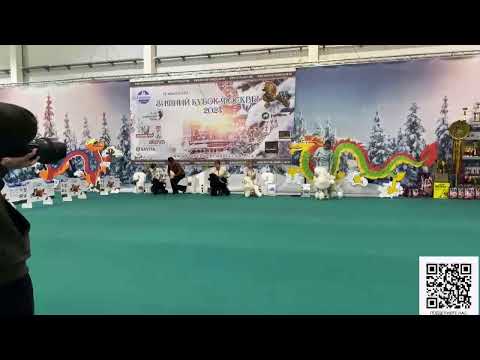 Видео: Моно Пудель, 10 февраля 24, Москва, судья Тиана Конрад, Сербия