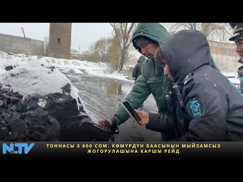 Видео: Тоннасы 5 800 сом. Көмүрдүн баасынын мыйзамсыз жогорулашына каршы рейд