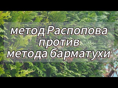 Видео: Барматуха против метода Распопова