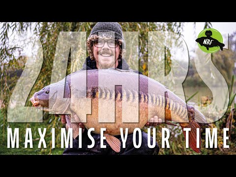 Видео: Как получить максимум от 24-часовой рыбалки на карпа! (Рыболовное хозяйство Dog Lane – озеро Wigeon)