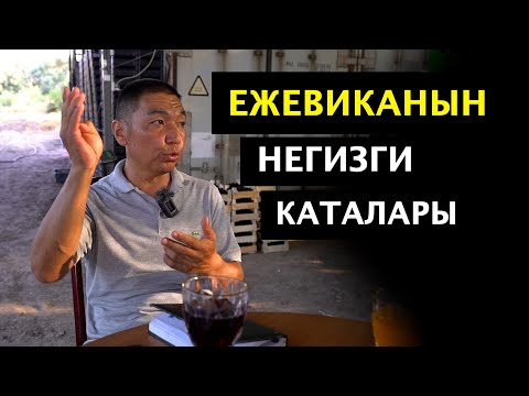 Видео: Эң кирешелүү мөмө кайсы? Ежевика көп болуп кетсе эмне болот? Өлкөдөгү тажрыйбалуу мөмөчү менен маек!