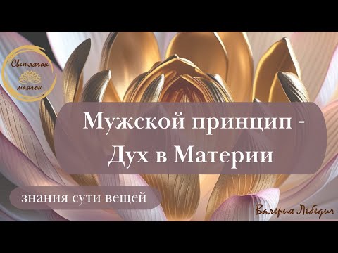 Видео: Мужской принцип - Дух в Материи | Или, как понять Мужчин!  #отношения #пробуждение #раскрытиесердца