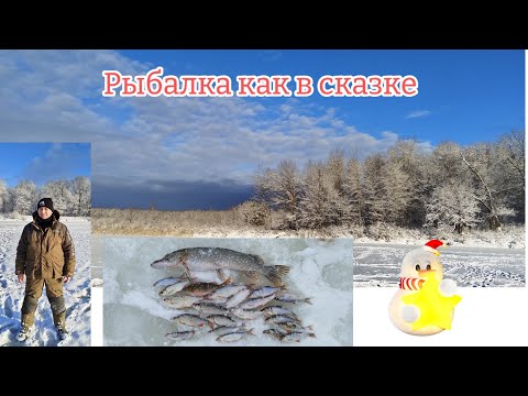 Видео: ЖЕРЛИЦЫ стреляют как фейерверки на Новый год!!! Рыбалка как в СКАЗКЕ!!!