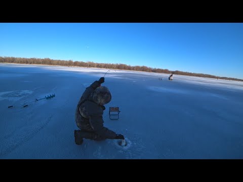 Видео: Рыбалка на Дону зимой. Рыбалка на судака зимой.