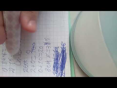 Видео: 15 ноября 2025 г.