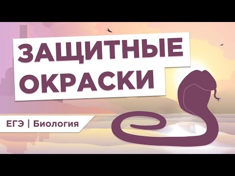 Видео: Что такое ЗАЩИТНЫЕ ОКРАСКИ I ЕГЭ Биология | Даниил Дарвин | Вебиум