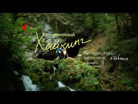 Видео: Поход выходного дня ✧ хайкинг с шестилеткой и собакой