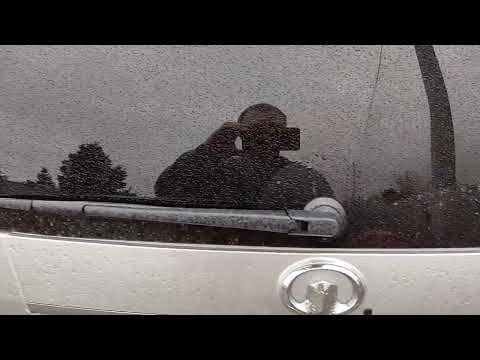 Видео: Флекс от DL Audio Piranha 10A V. 2 Black 