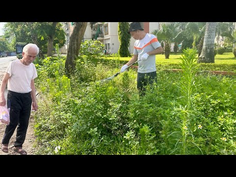 Видео: ПОЧЕМУ? ГОРОД закрыл глаза, когда увидел, как я подстригаю заросшую траву простым инструментом.