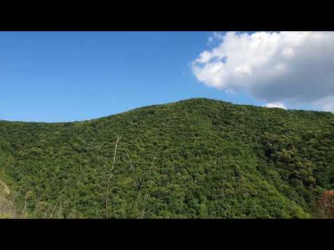 Видео: ВОЗРОЖДЕНИЕ долина реки Жане ГОРА наивысшая точка .