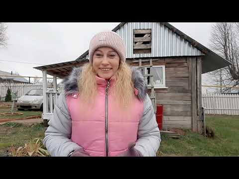 Видео: Первый зимний сезон в деревне!