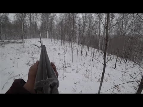 Видео: КРОВАВЫЙ ЗАЯЦ УШЕЛ!!Охота на зайца с гончей.