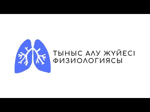 Видео: Тыныс алу жүйесінің физиологиясы