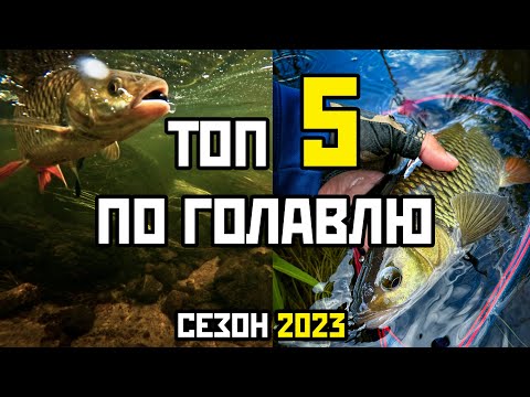 Видео: Мой ТОП 5 приманок на голавля, сезон 2023