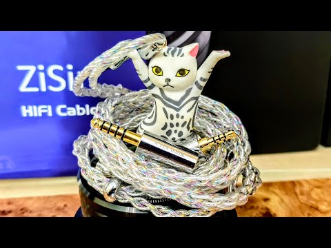 Видео: ZiSin 311 БУМАЖНЫЙ САМОЛЁТ 🌬🛩⚡️– полет за новые музыкальные 🎼 горизонты ✈️🔥‼️‼️‼️