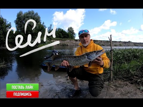 Видео: Щука 3 кг на спининг!!!! Сейм, рыбалка