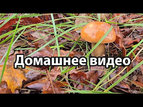 Видео: Неизданное на канале