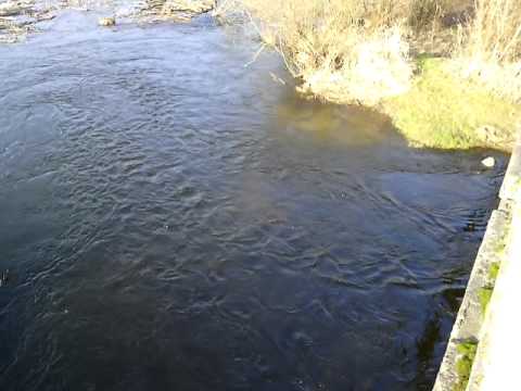 Видео: мост в селе скоморохи( Озёрное)