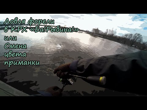 Видео: Ловля форели в КРХ "Ба!Рыбина!" или смена цвета приманки 21.03.2020