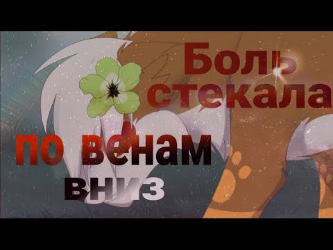 Видео: Боль стекала по венам вниз-Коты воители ||🍃Мята {КВ}🍃||