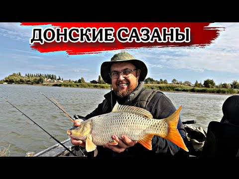 Видео: ДОНСКИЕ САЗАНЫ РЫБАЛКА С ЛОДКИ
