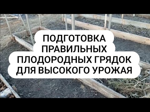 Видео: Живой Био Гумус в плодородных грядках